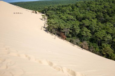 Pilat Kumulu, Avrupa 'nın en uzun kum tepesi. La Teste-de-Buch, Arcachon Körfezi, Aquitaine, Fransa 