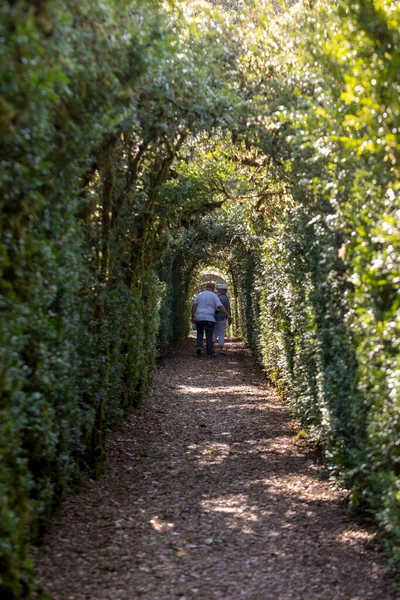 Dordogne France September 2018 Plant Tunnel Gardens Jardins Marqueyssac Dordogne — Stock Photo, Image