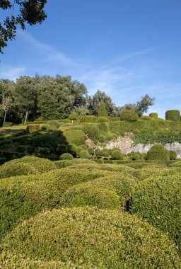 Dordogne, Fransa - 3 Eylül 2018: Jardins de Marqueyssac Fransa'nın Dordogne bölgedeki bahçelerde budama sanatı