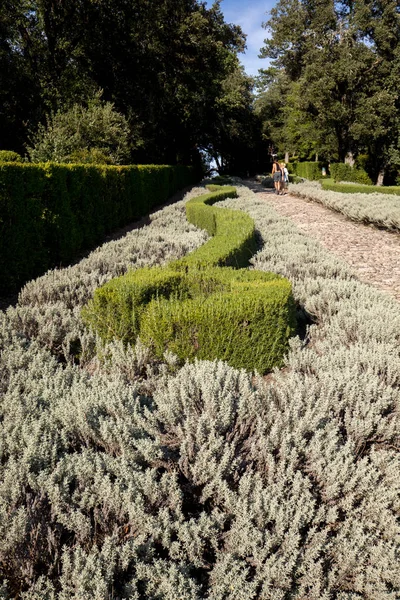 Dordogne Francja Września 2018 Ogród Jardins Marqueyssac Regionie Dordogne Francji — Zdjęcie stockowe