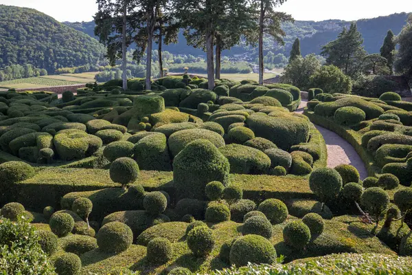 Dordogne Frankrike September 2018 Topiary Trädgårdarna Jardins Marqueyssac Regionen Dordogne — Stockfoto