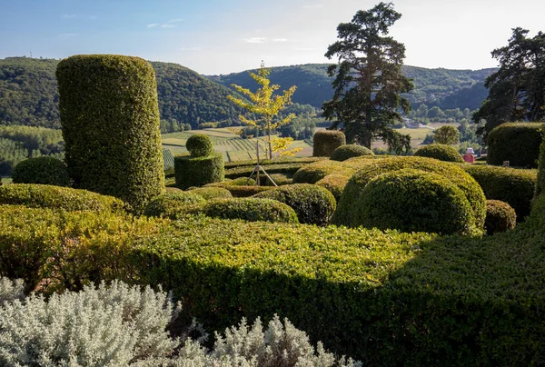 Дордонь Франция Сентября 2018 Года Топиарий Садах Jardins Marqueyssac Регионе — стоковое фото