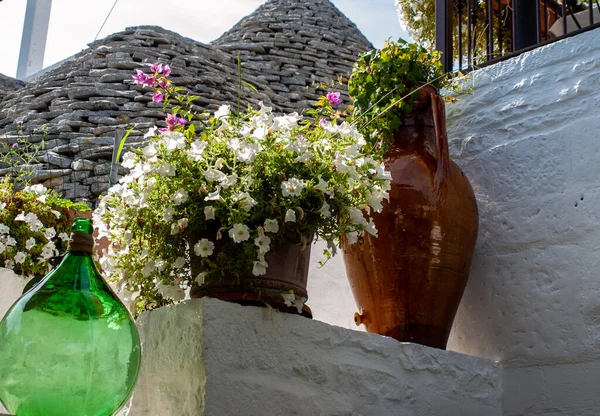 Demijohn Petúnias Brancas Jarro Cerâmica Café Trulli Aldeia Alberobello Itália — Fotografia de Stock