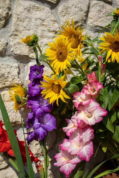 Blooming Sunflowers Colorful Gladioli Background Limestone Wall — Stock Photo, Image