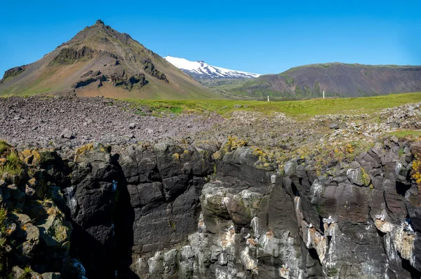 Falésias Entre Arnarstapi Hellnar Snaefellsnes Oeste Islândia — Fotografia de Stock