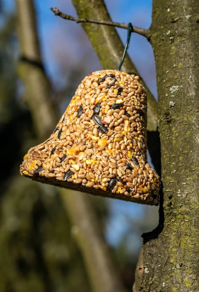 Campana Varios Granos Manjar Para Todas Las Aves Del Jardín — Foto de Stock