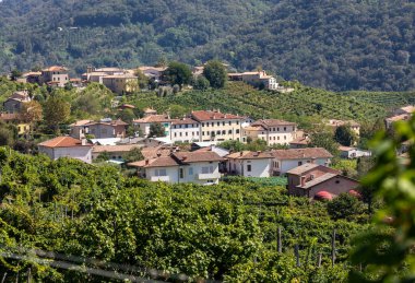 Picturesque hills with vineyards of the Prosecco sparkling wine region between Valdobbiadene and Conegliano; Italy. clipart