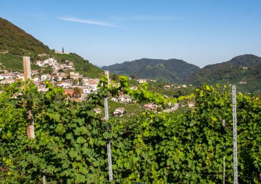 İtalya, Valdobbiadene 'de Prosecco' nun köpüren şarap bölgesinin üzüm bağlarıyla dolu resimli tepeler..