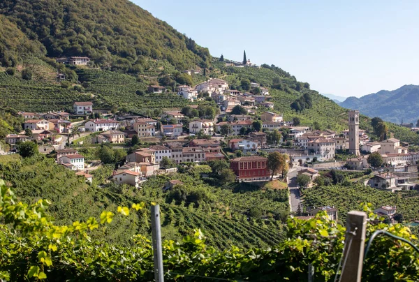 Valdobbiadene Conegliano Arasında Prosecco Şaraplı Üzüm Bağları Bulunan Picturesque Tepeleri — Stok fotoğraf