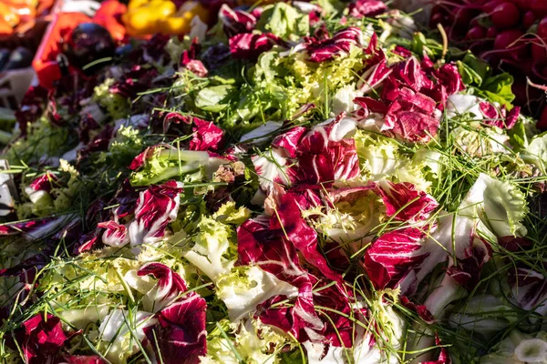意大利的一个农贸市场上 新鲜沙拉的叶子混合在一起 — 图库照片
