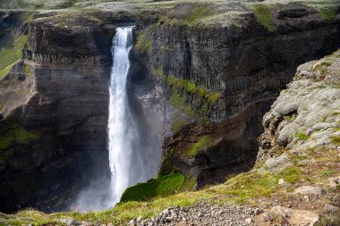 İzlanda 'daki Haifoss şelalesinin manzarası. 