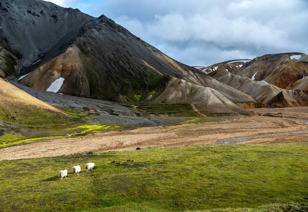 Vulkanikus Hegyek Landmannalaugar Fjallabak Természetvédelmi Terület Izland — Stock Fotó