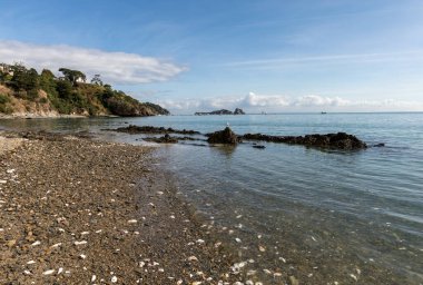 Cancale 'de istiridye kabukları ile sahil. Brittany, Fransa,