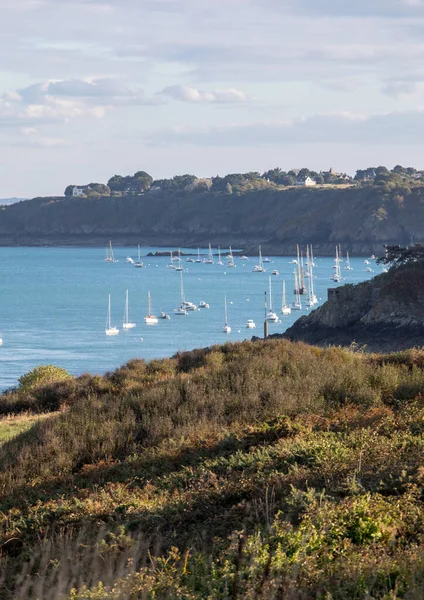 Pointe Grouin Cancale Emerald Coast Bretagne Frankrike — Stockfoto