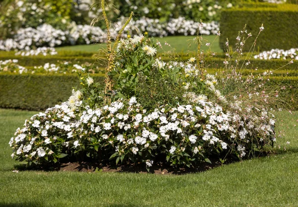 Jardin Blanc Dans Les Pittoresques Jardins Manoir Eyrignac Dordogne France — Photo