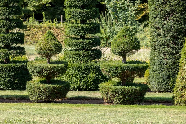Pitoresco Jardins Manoir Eyrignac Dordonha França — Fotografia de Stock