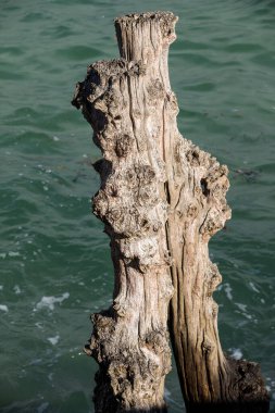 Büyük dalgakıran, gelgit şehirden, Saint-Malo, Ille-et-Vilaine, Brittany, Fransa Plage de l'ventail Beach'te savunmak için 3000 gövdeleri.