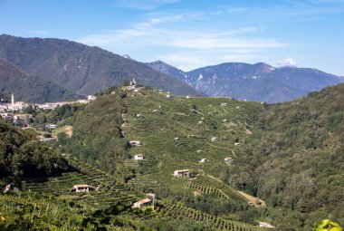 Guietta ve Guia 'daki Prosecco şaraplı üzüm bağlarıyla dolu resimli tepeler. İtalya.