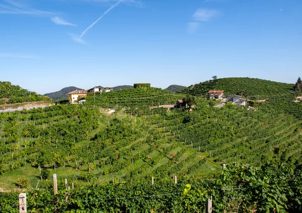 Malebné Kopce Vinicemi Oblasti Šumivého Vína Prosecco Valdobbiadene Itálie — Stock fotografie