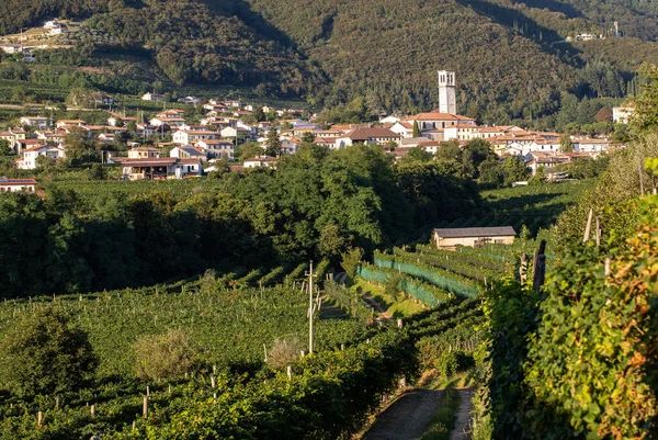 Pintorescas Colinas Con Viñedos Región Vinícola Espumosa Prosecco Valdobbiadene Italia — Foto de Stock