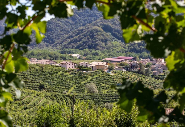 ValdobbiadeneとConegliano イタリアの間のプロセッコスパークリングワイン地域のブドウ畑と美しい丘 — ストック写真