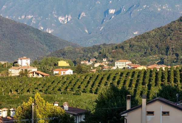 Colinas Pitorescas Com Vinhas Região Vinícola Espumante Prosecco Valdobbiadene Itália — Fotografia de Stock