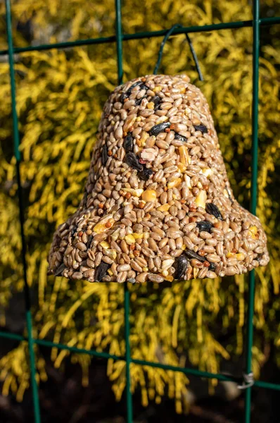 Campana Varios Granos Manjar Para Todas Las Aves Del Jardín — Foto de Stock