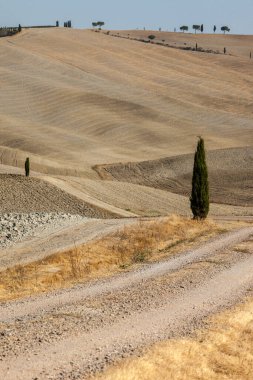 Tuscany kırsal manzara. İtalya