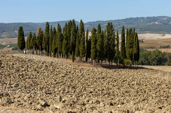 Paysage Rural Toscane Italie — Photo