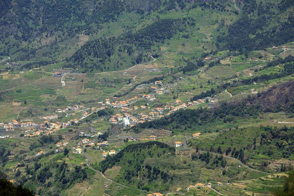 Sao Vicente Nin Çevresindeki Köy Teras Ekimi Madeira Adası Portekiz — Stok fotoğraf