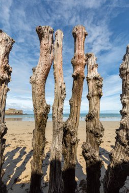 Büyük dalgakıran, gelgit şehirden, Saint-Malo, Ille-et-Vilaine, Brittany, Fransa Plage de l'ventail Beach'te savunmak için 3000 gövdeleri