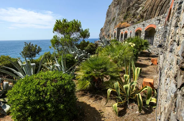 Cinque Terre Kärlekens Väg Ligurien Italien Från Vackraste Italien För — Stockfoto