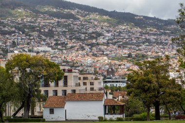 Madeira adasındaki Funchal 'ın dik yamaçlarında tipik teras mimarisi. Portekiz