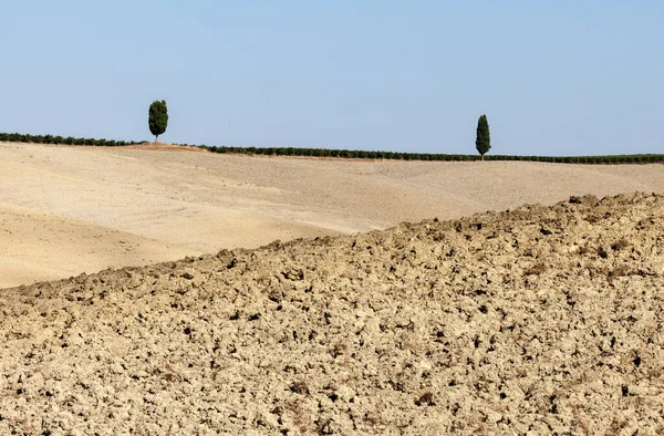 Die Ländliche Landschaft Der Toskana Italien — Stockfoto