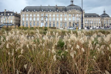 Bordeaux, Fransa - 9 Eylül 2018: Place de la Bourse, Bordeaux, Fransa