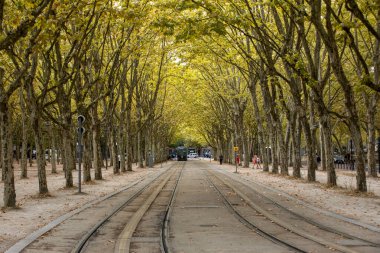 Bordeaux, Fransa - 9 Eylül 2018: Fransa 'nın Bordeaux şehrindeki modern tramvay şehrin merkezinde bulunan Allees de Münih' ten geçiyor. Gironde, Fransa