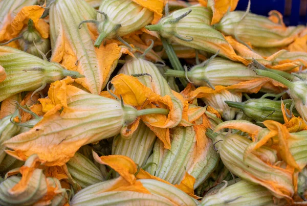 Färska Zucchini Blommor Lantbruksmarknad Italien — Stockfoto