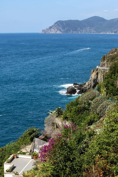 Hermosa Costa Cinque Terre Liguria Italia —  Fotos de Stock