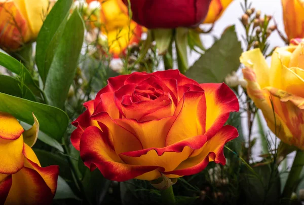 Krásná Kytice Barevných Růží — Stock fotografie