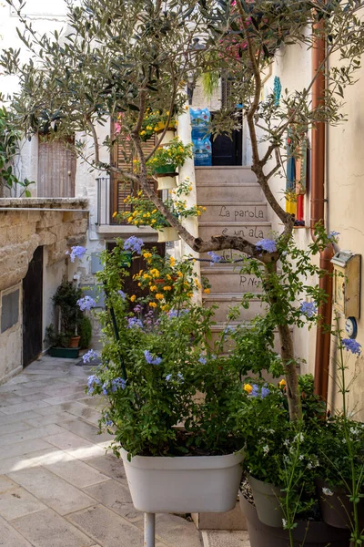 Polignano Mare Italy September 2019 Charming Romantic Old Town Polignano — 스톡 사진