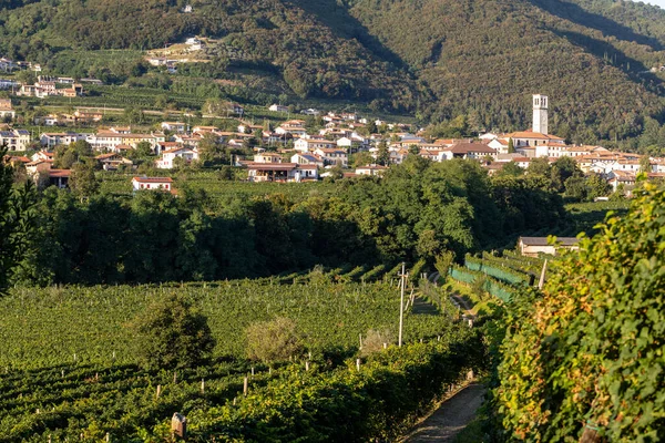 Schilderachtige Heuvels Met Wijngaarden Van Prosecco Mousserende Wijnstreek Valdobbiadene Italië — Stockfoto