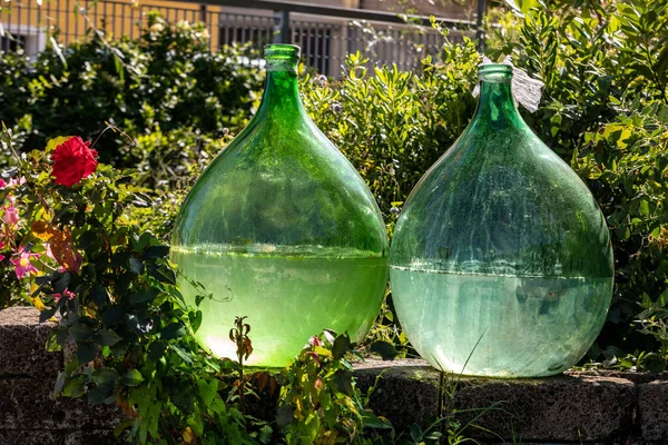 Demijohn Wijnflessen Wijngaard Van Het Mousserende Wijngebied Prosecco Valdobbiadene Italië — Stockfoto