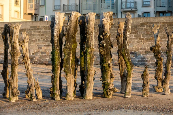 Big Breakwater Beach Saint Malo 3000 Trunks Defend City Tides — Stock Photo, Image