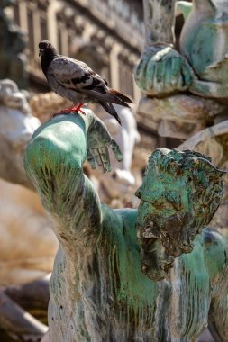 Bartolomeo Ammannati 'nin Neptün Çeşmesi, Piazza della Signoria, Floransa, İtalya