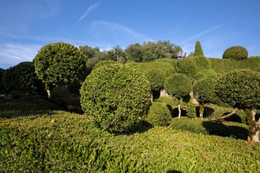  Jardins de Marqueyssac Fransa'nın Dordogne bölgedeki bahçelerde budama sanatı