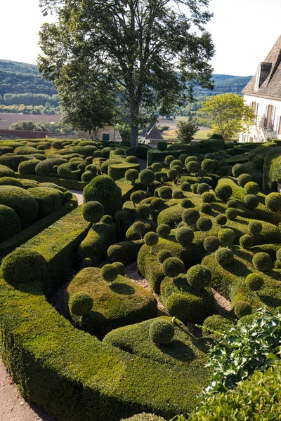 Дордонь Франция Сентября 2018 Года Топиарий Садах Jardins Marqueyssac Регионе — стоковое фото