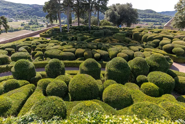 Дордонь Франция Сентября 2018 Года Топиарий Садах Jardins Marqueyssac Регионе — стоковое фото