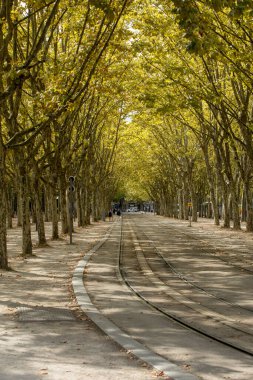 Bordeaux, Fransa - 9 Eylül 2018: Place des Quinconces, Bordeaux France boyunca yeşil ağaçlarla kaplı bir halk bahçesi.