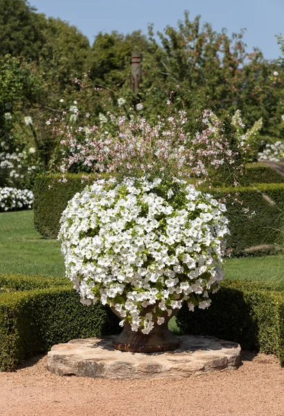 Белый Сад Живописном Jardins Manoir Eyrignac Дордони Франция — стоковое фото