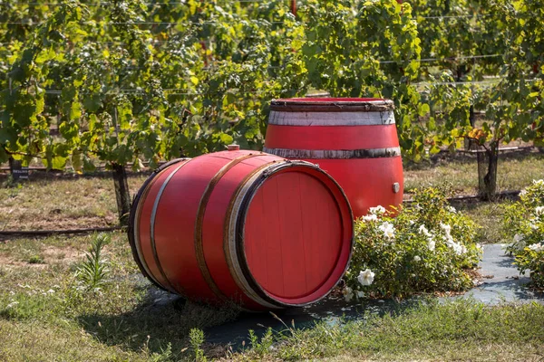 Two Old Red Barrels Vineyard Eyrignac Dordogne France — Stock Photo, Image